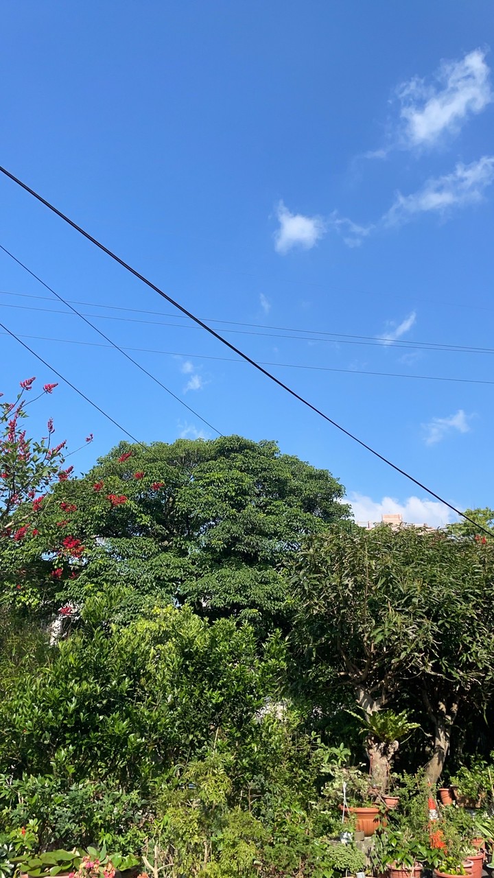 農耕隊