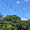 農耕隊