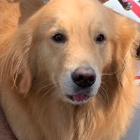 มิ้งกุจังปล่อยของ minxjaxn