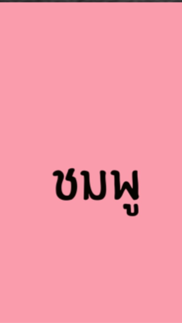 ดรัมเมเยอร์