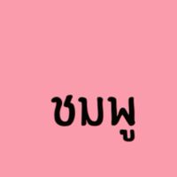 ดรัมเมเยอร์