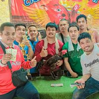 บีบี ฟาร์ม พม่าเบอร์เเข้ง ไก่ชนรากหญ้า