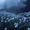 キ ミ 爾  渡 シ た  Love  letter  ．