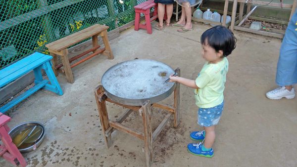 【台北景點】桃樂絲森林(穀興農場)-隱身在山凹之中免門票好玩又有趣的親子旅遊景點