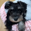 くうちゃんですっ