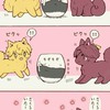 防風少年(可處cp)對戲群