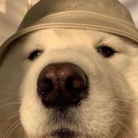 狗都不愛你👊🏻🐶👊🏻