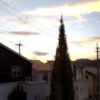 みんなで雑談しようよ!