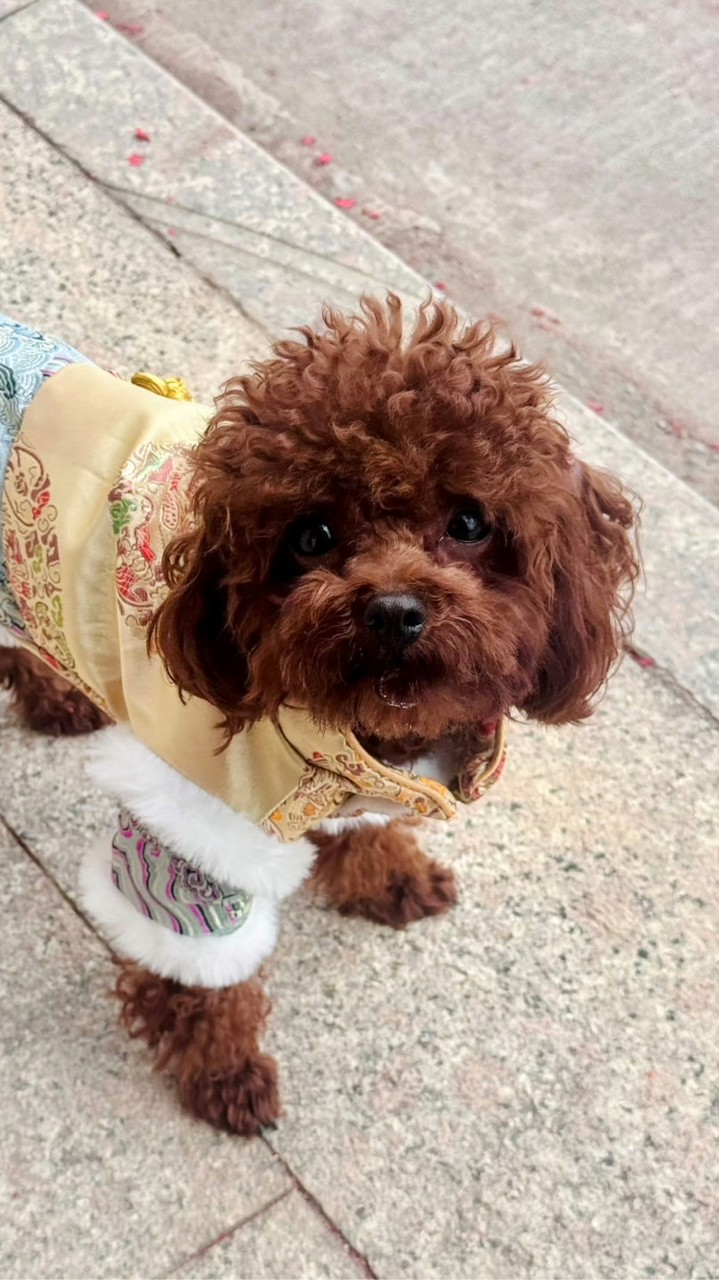 邱邱值得所有的偏愛🧡