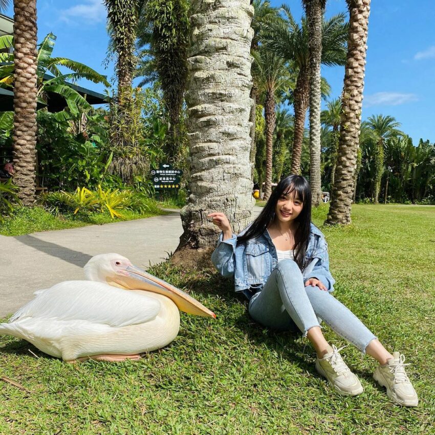 姜阿新 姜阿新洋樓｜台劇《茶金》拍攝景點！新竹北埔老街洋房古蹟（交通指南＋周邊美食） 4 2023