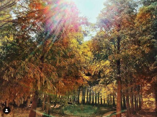 圖片來源：IG @yuc_614