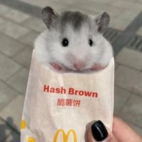 鼠崽崽們ㄉ預購專區💗
