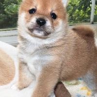 ネット恋愛の相談とか雑談