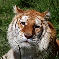 東北サファリパーク