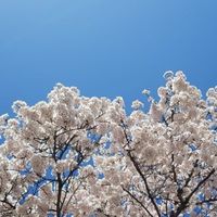 韓國小物衝一波