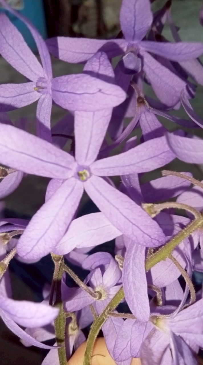 ปรึกษาเรื่องต่างๆ+คุยเล่น