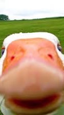 鵝鵝鵝鵝🪿