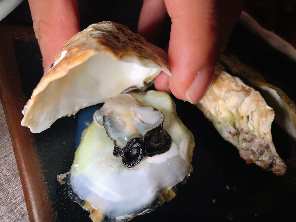 串燒殿,西門吃到飽,燒肉吃到飽,我不是他媽媽,東區居酒屋推薦,東區燒肉推薦,大安區燒肉推薦,東區串燒,東區宵夜推薦,東區吃到飽,東區平價慶生