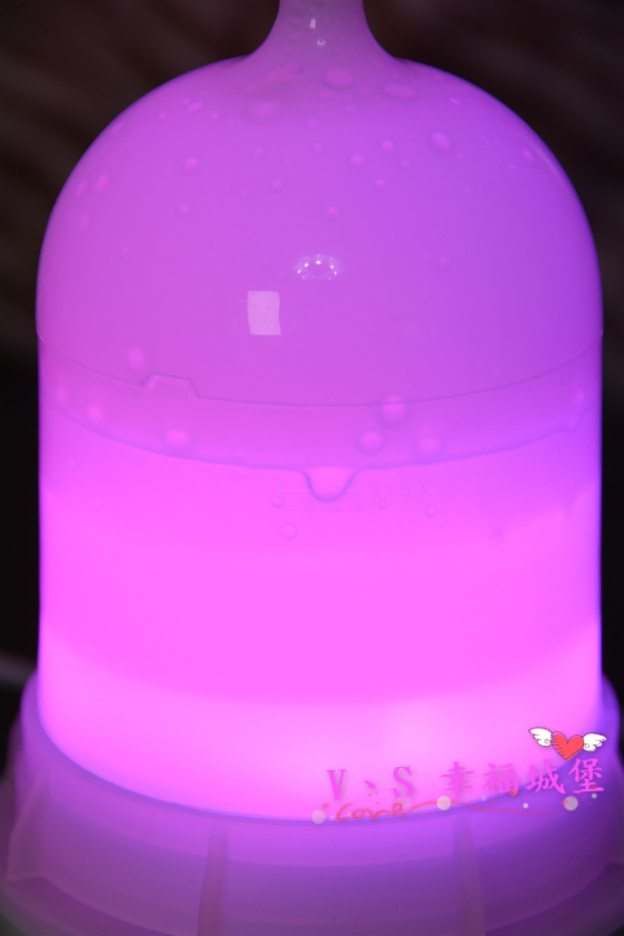 PIG_4013_meitu_1