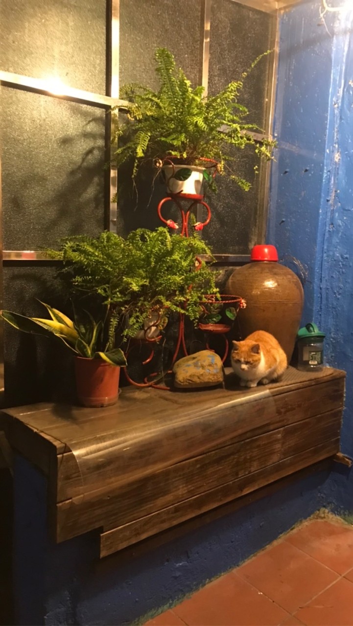 阿欽的柑麻店
