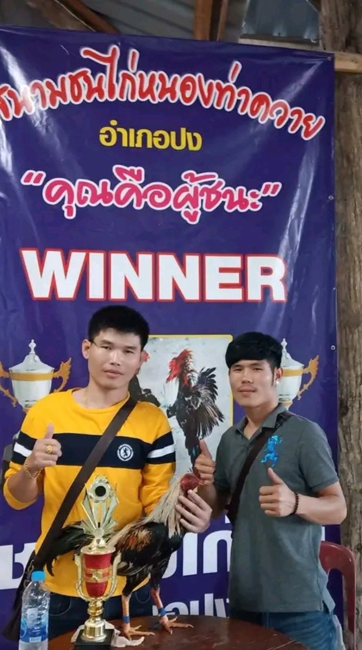ซุ้มตองเคฟาร์มพะเยา