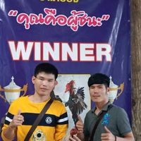 ซุ้มตองเคฟาร์มพะเยา
