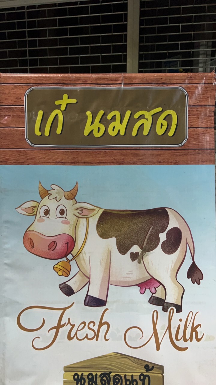 เก๋นมสดชัยภูมิ