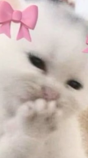 กลุ่มคุยเล่น ชิลล์ชิลล์