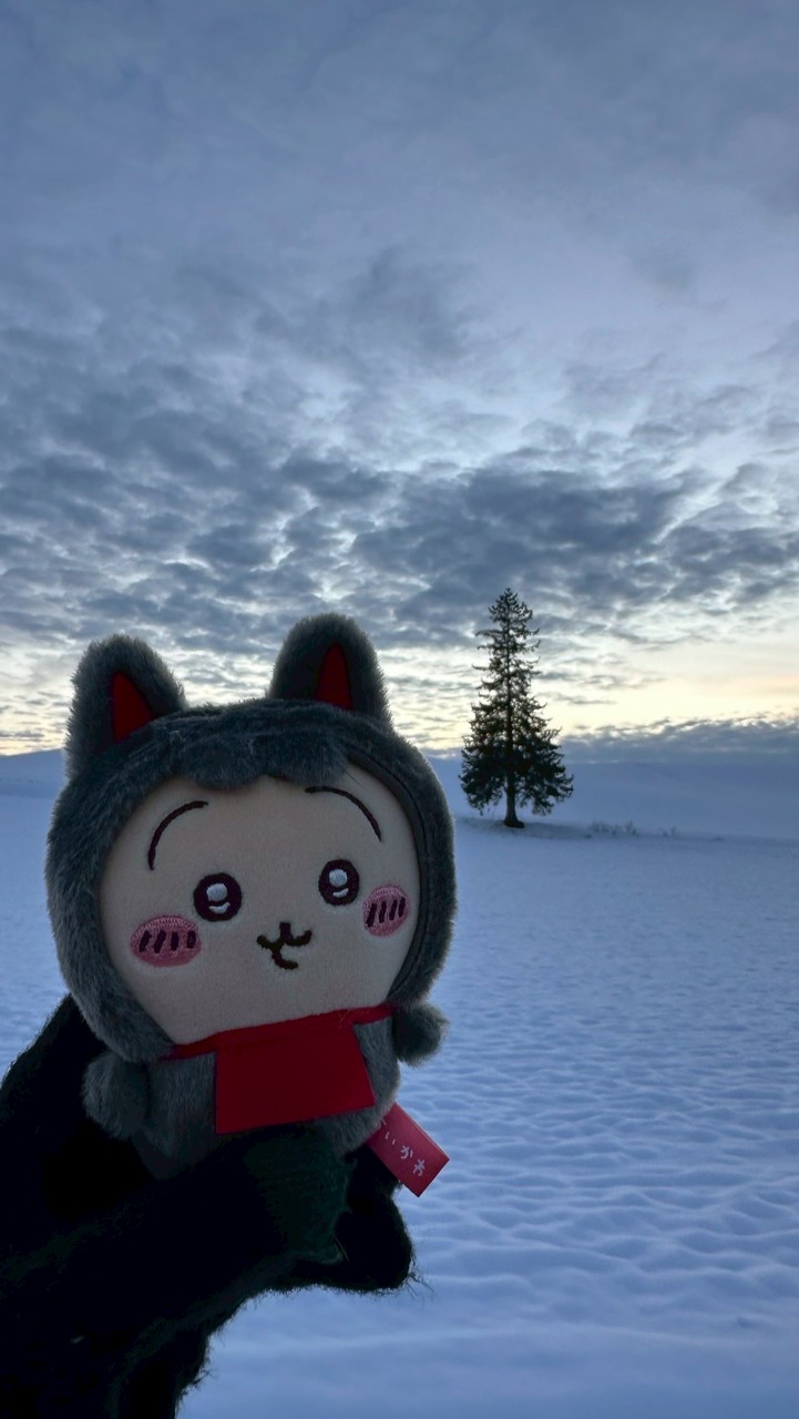 Clairo佛系代購🇯🇵