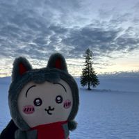6/7-6/13 首爾連線🇰🇷