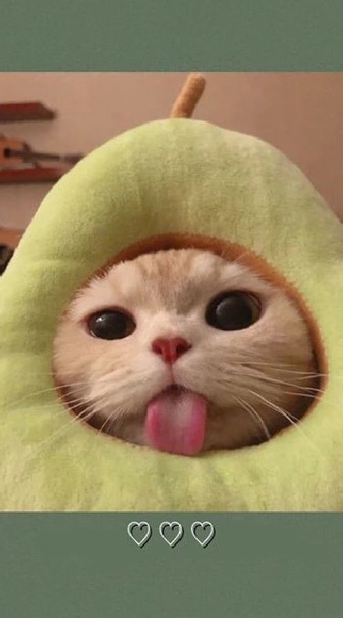 ทำทุกอย่่าง