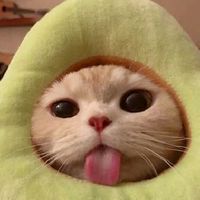 ทำทุกอย่่าง