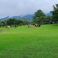 北海道露營車自駕遊社群