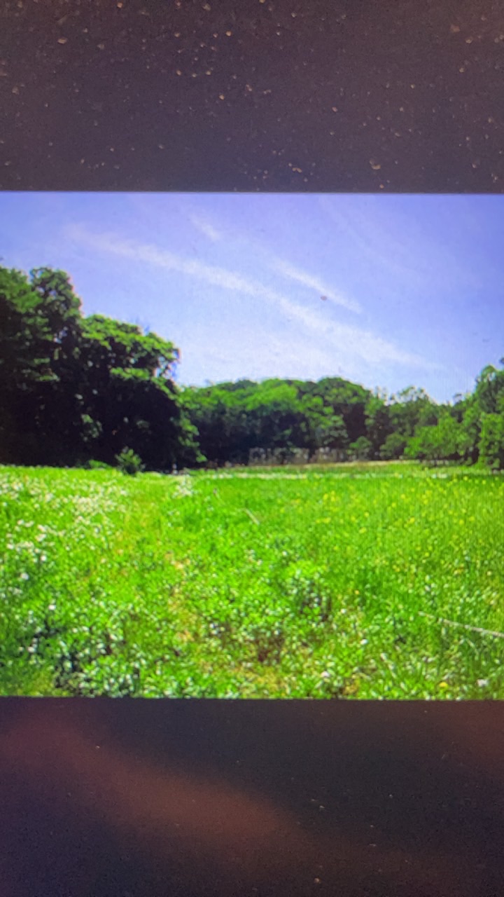 市民による野津田公園づくり