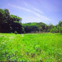 市民による野津田公園づくり
