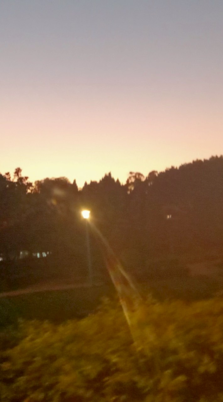 聊天動漫通通來