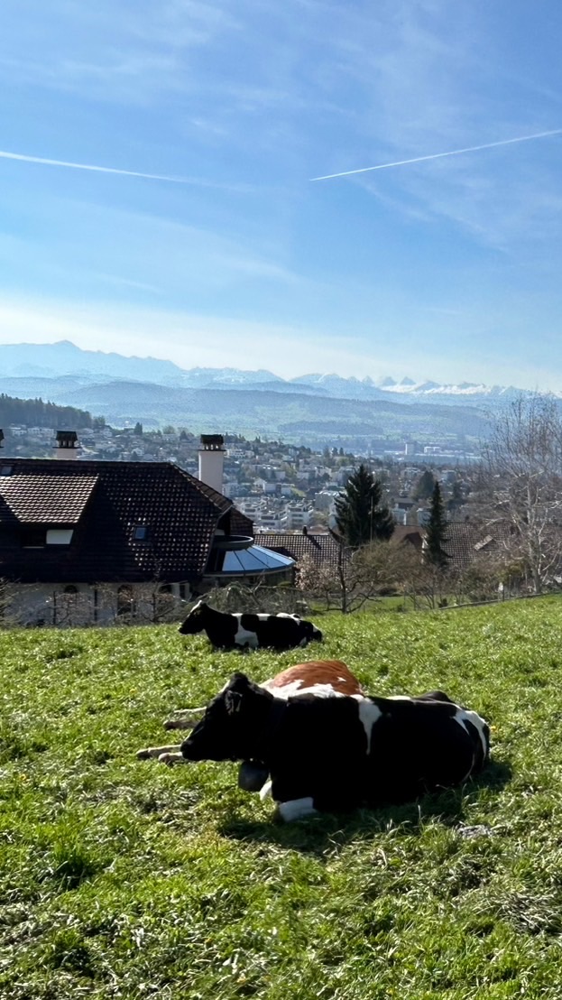 Way to購🇨🇭瑞士代購