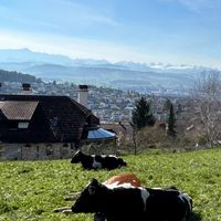Way to購🇨🇭瑞士代購