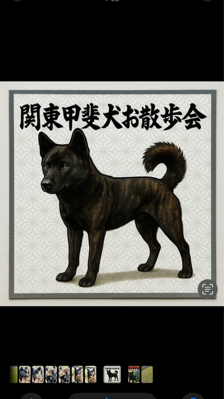 関東甲斐犬お散歩会