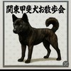 関東甲斐犬お散歩会
