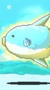 にゃんこ民の集い