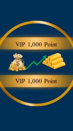 💙VIP 1,000Point💙