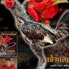 ป.เพชรอรัญฟาร์ม ไก่ชนสายเลือดเงินล้าน