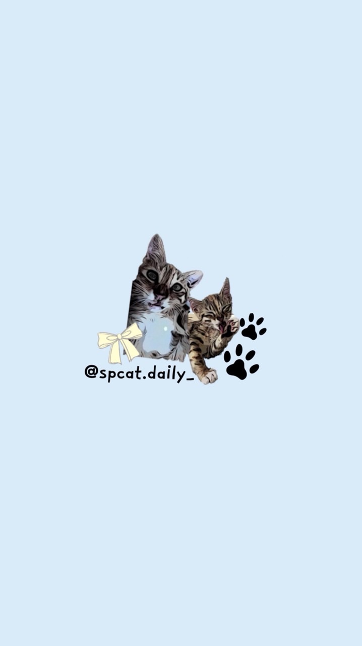 Spcat.daily_