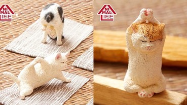 超火紅扭蛋「ANIMAL LIFE」推出超獵奇「貓咪瑜伽大師」系列！ 網友：確定不是在冥想？