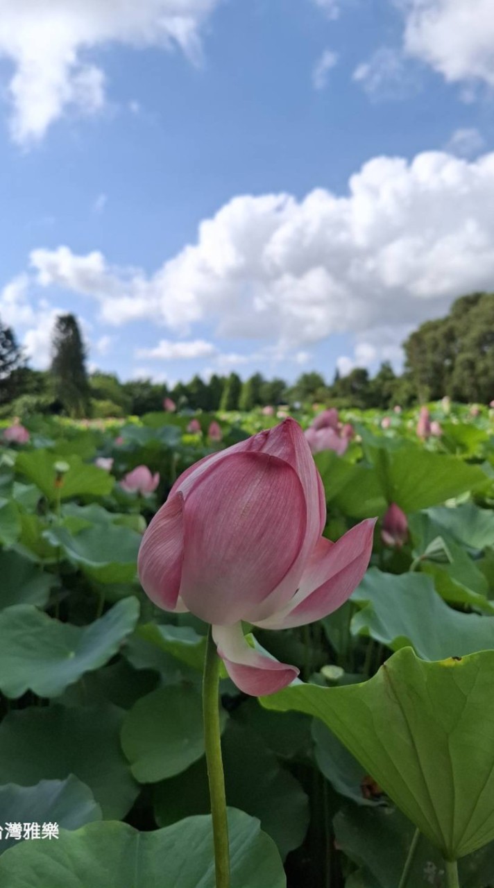 台灣一起同遊旅行趣