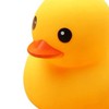 鴨寮蔥蔥蔥