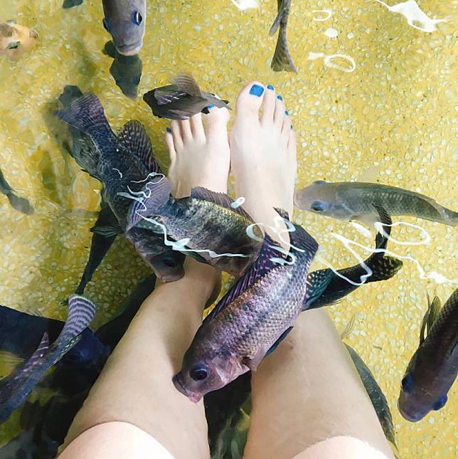 照片來源：IG @michong11