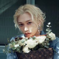 FelixLee 龍馥台灣泡泡翻譯群
