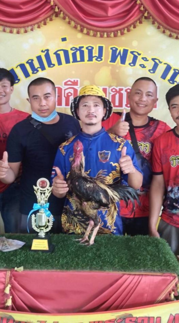 ซุ้มรวมดาว